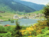 Uzungol - Trabzon